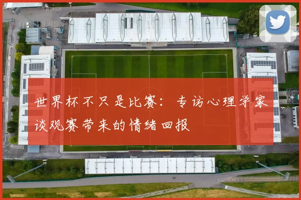 世界杯不只是比赛:专访心理学家谈观赛带来的情绪回报