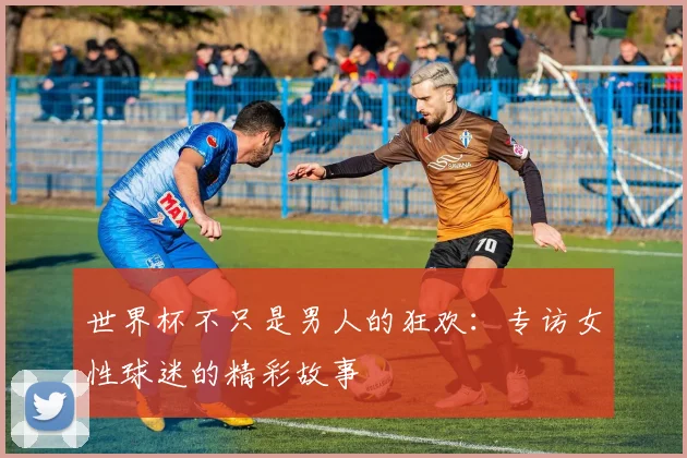 世界杯不只是男人的狂欢:专访女性球迷的精彩故事