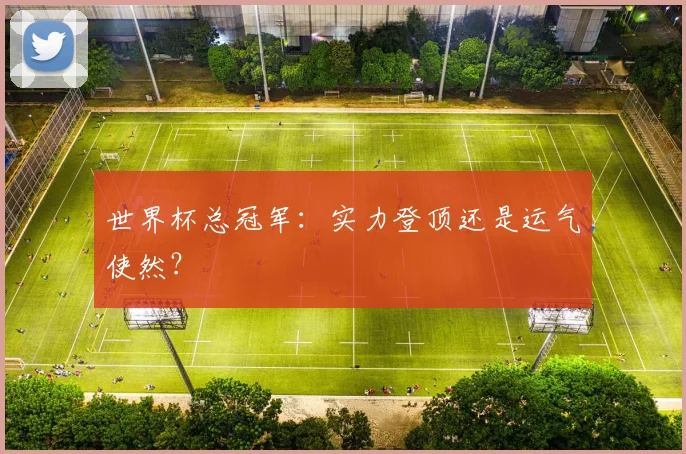 世界杯总冠军:实力登顶还是运气使然?