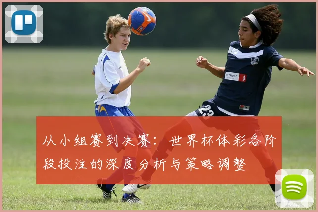 从小组赛到决赛:世界杯体彩各阶段投注的深度分析与策略调整