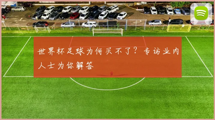 世界杯足球为何买不了？专访业内人士为你解答